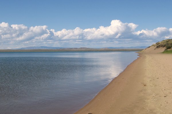 Ссылки тор браузер