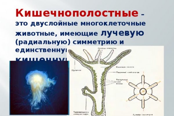 Регистрация на кракен